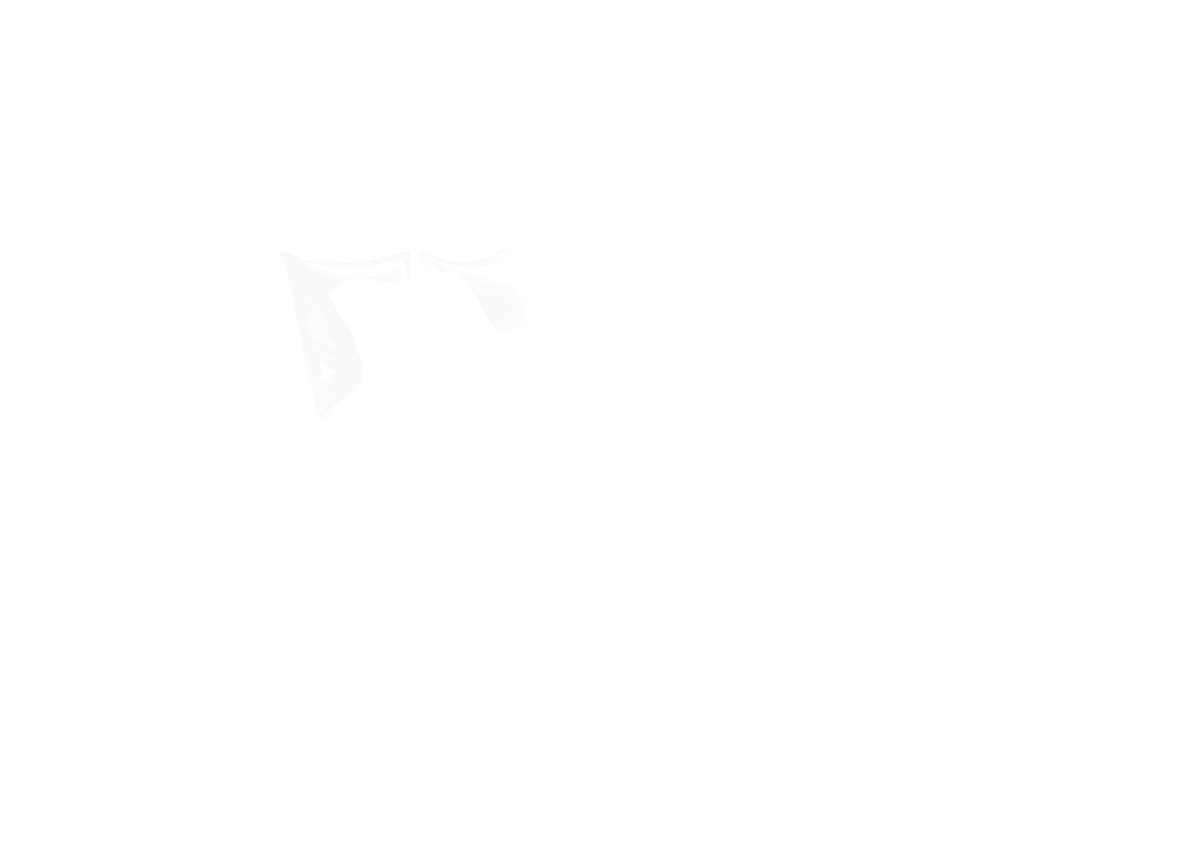 Organic Cotton Bedding Ensemble, Custom Sheet Sets, Single Sheets with