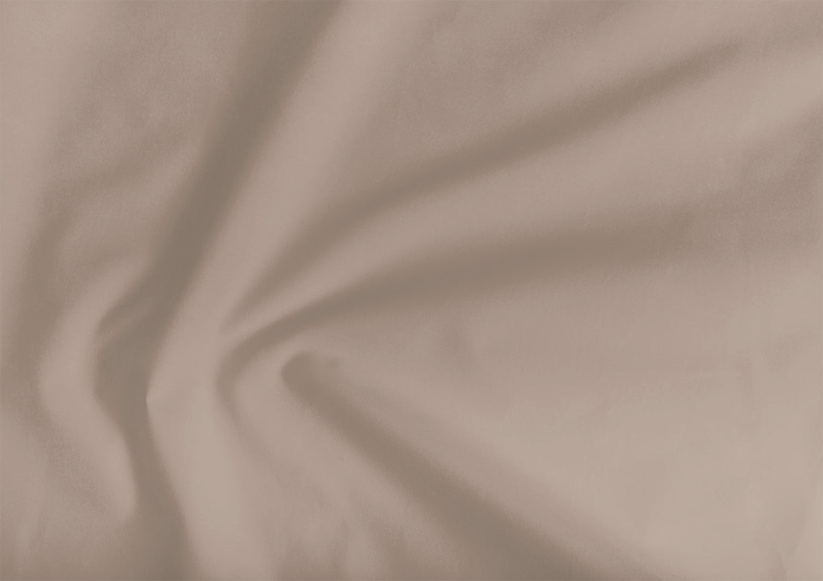 Latte Flat Sheet (Queen) by Cammie