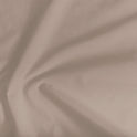 Latte Flat Sheet (Queen) by Cammie